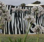 Zebras Guest House - Great Ocean Road Tourism
