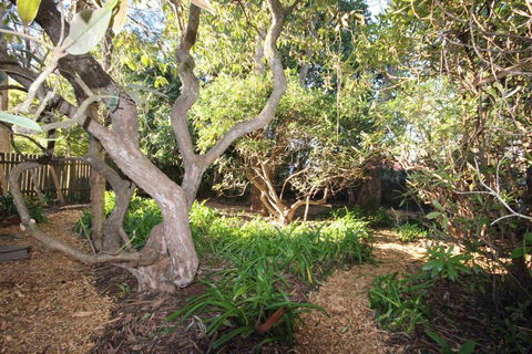 Stonewall Cottage For Two With Fireplace - Great Ocean Road Tourism 2