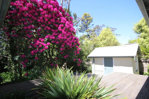 Stonewall Cottage For Two With Fireplace - Great Ocean Road Tourism 5