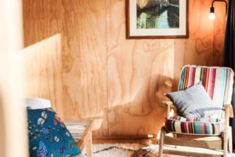 Seagrass On Sunset Bay - Great Ocean Road Tourism 5