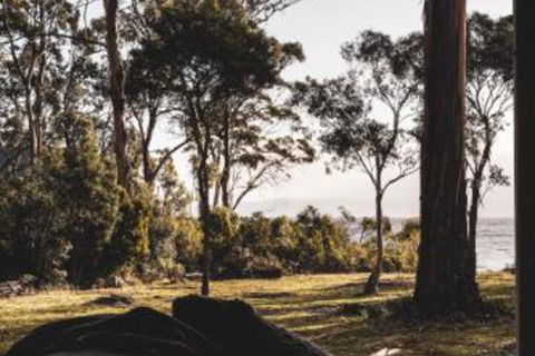 Seagrass On Sunset Bay - Great Ocean Road Tourism 2