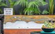 AMORE A Tranquil Retreat With Couples Spa - thumb 0