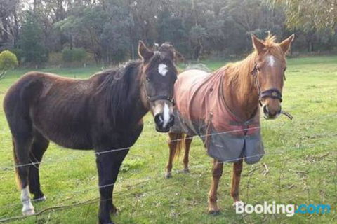 Heritage Bed & Breakfast - Great Ocean Road Tourism 3