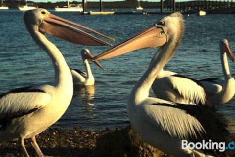 Schoolhouse Cottage American River - Great Ocean Road Tourism 1