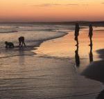Cromarty Cottage 900m from Birubi Beach - Great Ocean Road Tourism