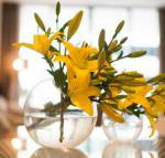 KUI Manhattan Apartments - Great Ocean Road Tourism