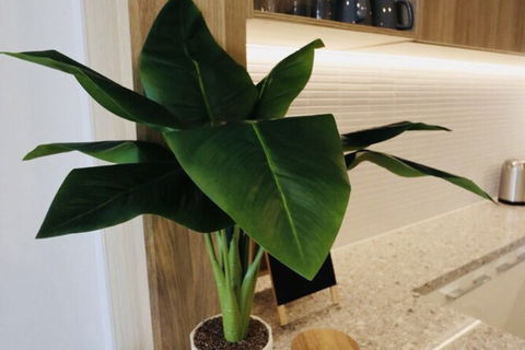 Homely Apartments In Southbank - Great Ocean Road Tourism 1