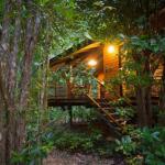 Wildwood - Great Ocean Road Tourism 0