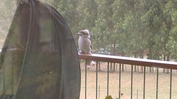 Deloraine Comfort - Great Ocean Road Tourism 2