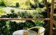Sensom Luxury Bed & Breakfast Coffs Harbour - thumb 4