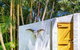 Sensom Luxury Bed & Breakfast Coffs Harbour - thumb 2