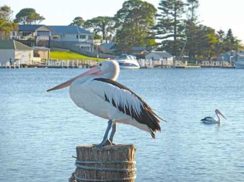 HAIS18G Riverside Delight - Great Ocean Road Tourism 4