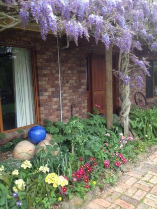 Wisteria Lodge - Great Ocean Road Tourism 4