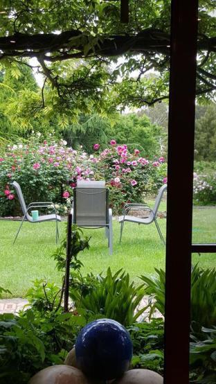 Wisteria Lodge - Great Ocean Road Tourism 5