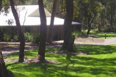 Port Stephens Koala Sanctuary - Great Ocean Road Tourism 6