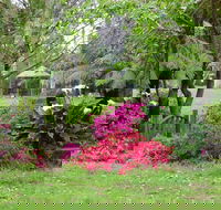 North East Rest Awhile Bed  Breakfast - Great Ocean Road Tourism