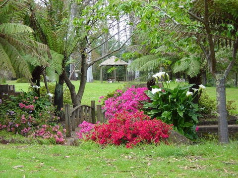 North East Rest Awhile Bed & Breakfast - Great Ocean Road Tourism 0
