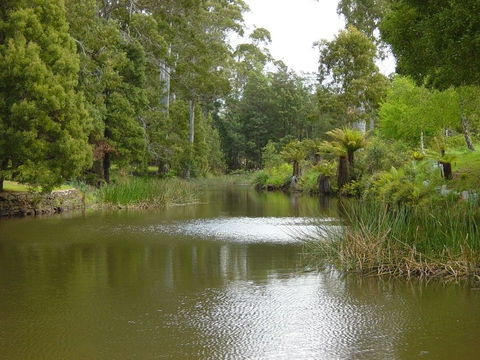 North East Rest Awhile Bed & Breakfast - Great Ocean Road Tourism 1