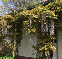 Clarence Cottage - Great Ocean Road Tourism