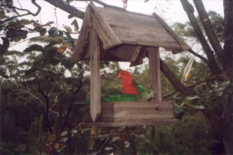 Arcadia Cottage - Great Ocean Road Tourism 2