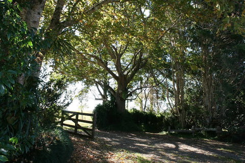 Maleny Mountain Retreat - Great Ocean Road Tourism 0