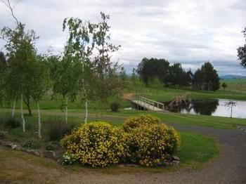 Buttercup Cottage & Private Apartment - Great Ocean Road Tourism 3