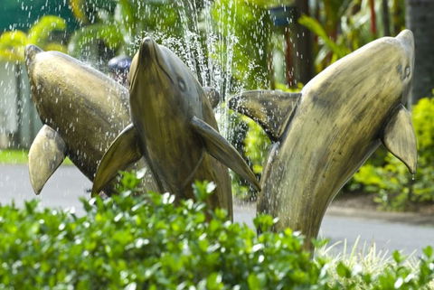 Cairns Coconut Holiday Resort - Great Ocean Road Tourism 1