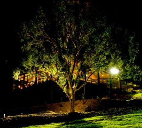 Oceanview Estate Vineyard Cottages - Great Ocean Road Tourism 4