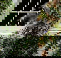 Fitzpatrick's Inn - Great Ocean Road Tourism