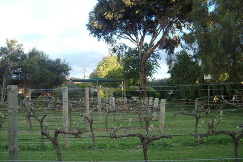 Southern Vales Bed & Breakfast - Great Ocean Road Tourism 7
