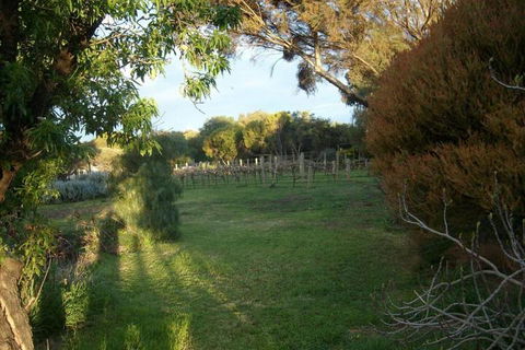 Southern Vales Bed & Breakfast - Great Ocean Road Tourism 2