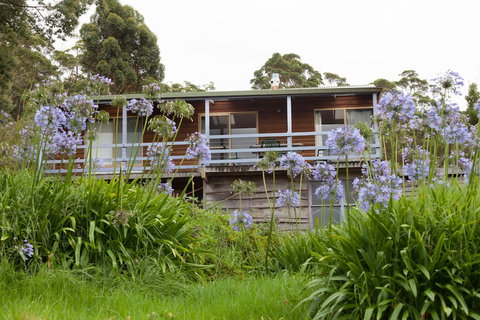 Bombina Cottages - Great Ocean Road Tourism 0