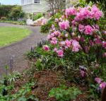 Anabels of Scottsdale - Great Ocean Road Tourism