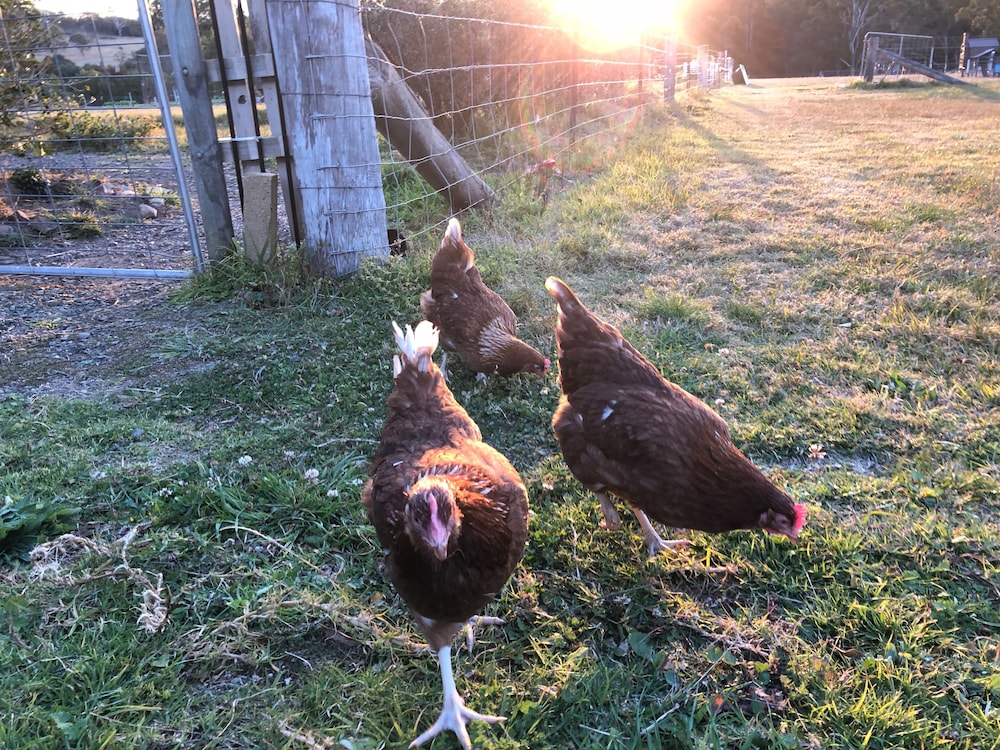 Moruya NSW Great Ocean Road Tourism