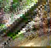 Rainforest Hideaway - Great Ocean Road Tourism