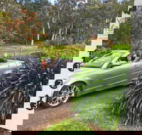 Valley Farm Vineyard Cottages - Great Ocean Road Tourism