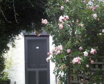 Ivy On Glenelg - Great Ocean Road Tourism 0