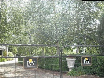 Ivy On Glenelg - Great Ocean Road Tourism 2