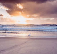 Blue Waters Motel - Great Ocean Road Tourism