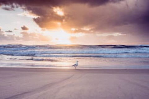 Blue Waters Motel - Great Ocean Road Tourism 0