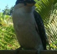 Tropic Oasis Holiday Villas - Great Ocean Road Tourism