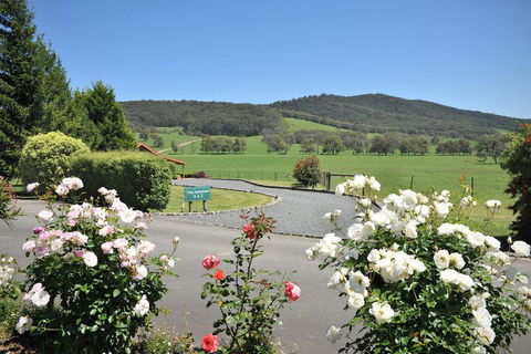Langbrook Estate Cottages - Great Ocean Road Tourism 1