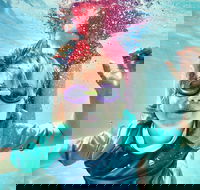 Anglesea Family Caravan Park - Great Ocean Road Tourism