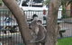 Port Macquarie Backpackers - thumb 3