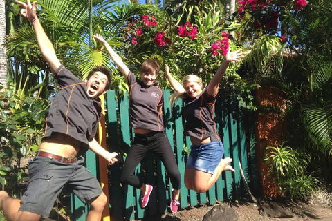JJs Backpackers Hostel - Great Ocean Road Tourism 6