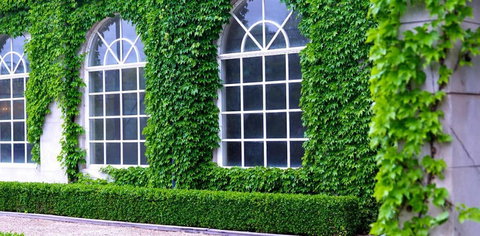 Milton Park Country House Hotel & Spa - Great Ocean Road Tourism 0