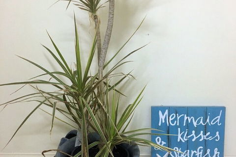 Al Mare Beachfront Retreat - Great Ocean Road Tourism 2