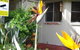 Ocean Shores Motel - thumb 2