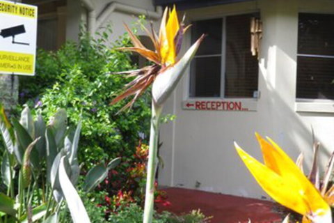 Ocean Shores Motel - Great Ocean Road Tourism 2