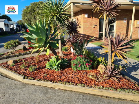 Chelsea Holiday Park - Great Ocean Road Tourism 2